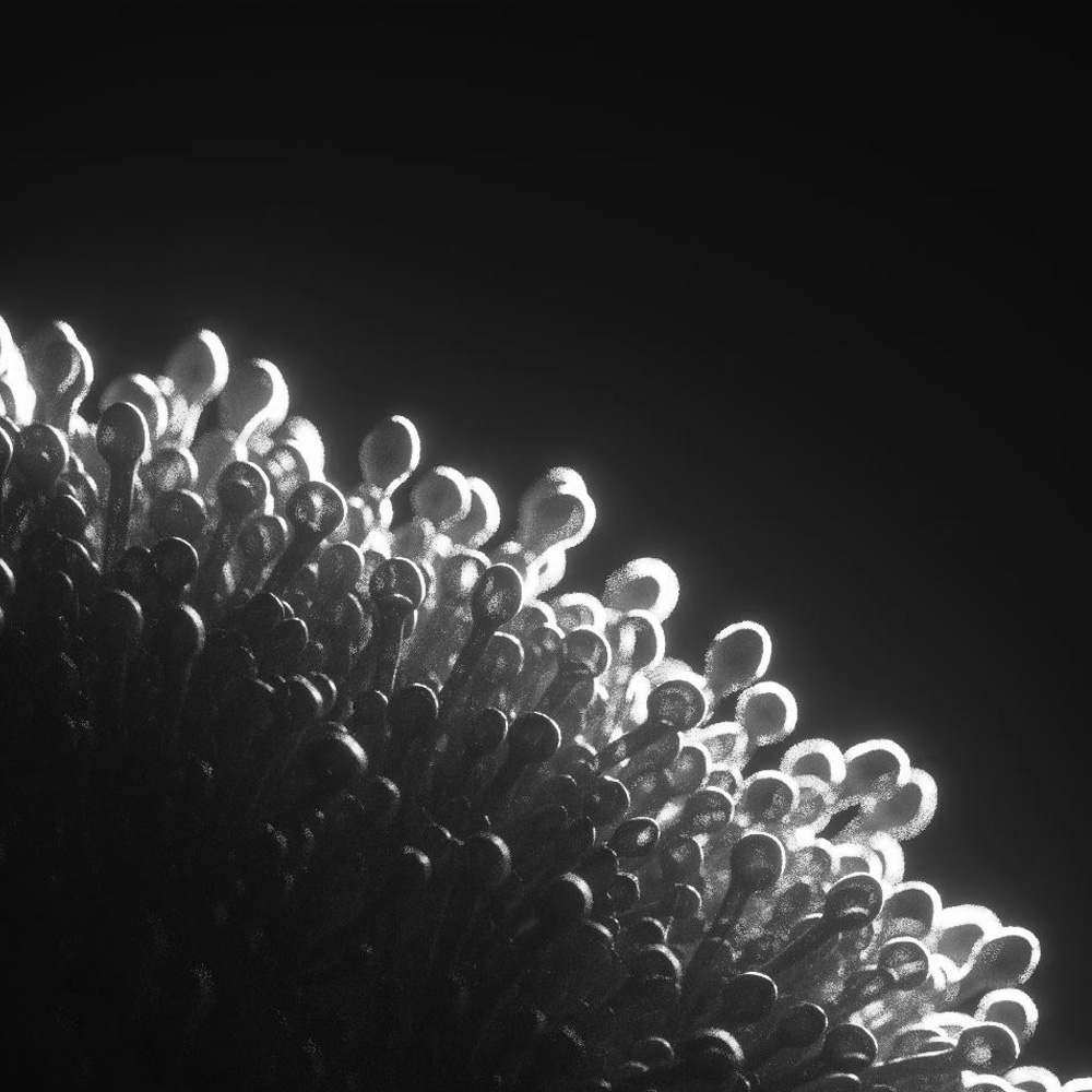 Proj_PA_MaterialState_SQ_02 Proj_PA_MaterialState_SQ_02
